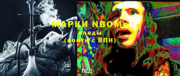 гидра Аркадак