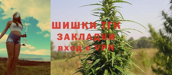 гидра Аркадак
