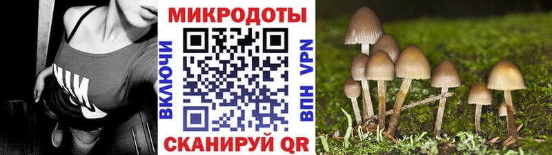 ОМГ ОМГ маркетплейс  Дыгулыбгей  Галлюциногенные грибы GOLDEN TEACHER 